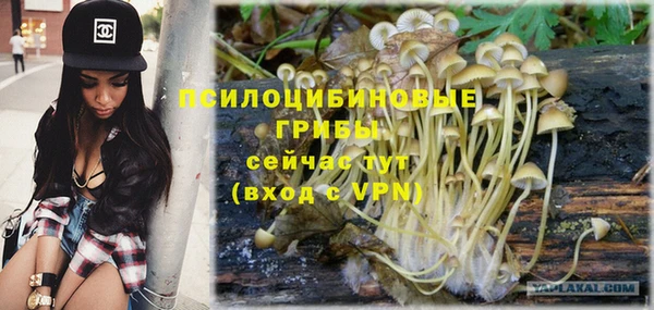 mdpv Алексин