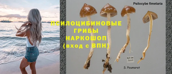 apvp Алексеевка