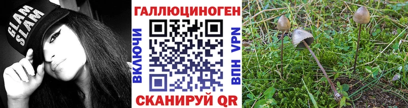 Псилоцибиновые грибы Magic Shrooms Тында